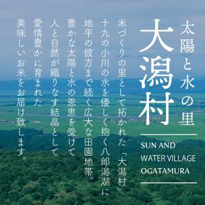 特別栽培米1等あきたこまち30kg玄米 送料無...の詳細画像4