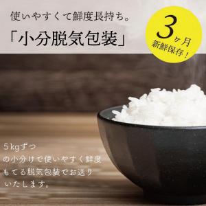 数量限定販売 令和7年産 秋田県産 ミルキープ...の詳細画像3
