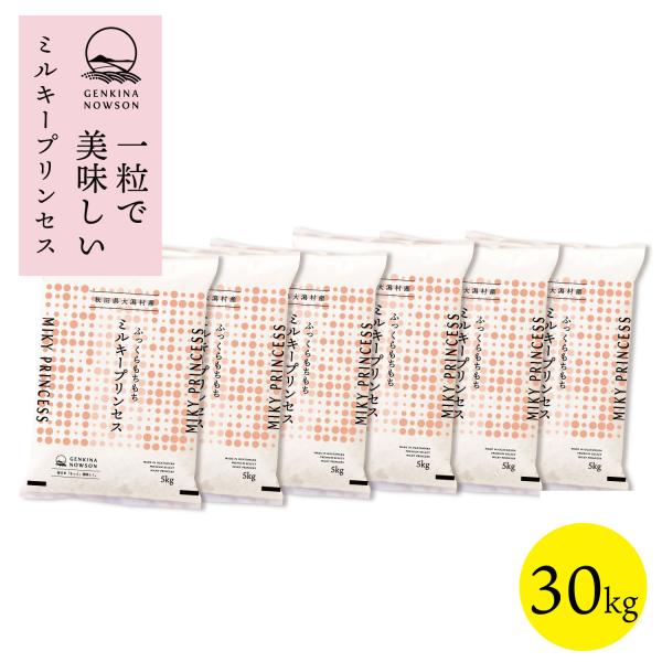数量限定販売 令和7年産 秋田県産  ミルキープリンセス 30kg(5kg×6袋) 脱気包装★選べる...