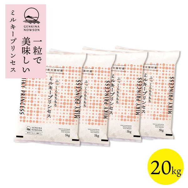 数量限定販売 令和7年産 秋田県産  ミルキープリンセス 20kg(5kg×4袋) 脱気包装★選べる...