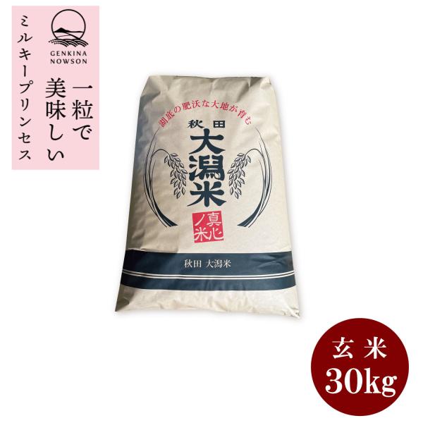 数量限定 ミルキープリンセス 30kg 1等玄米 送料無料 2025年産 令和7年産   秋田県産 ...
