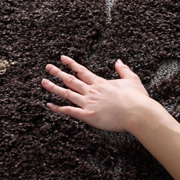 【並行輸入品】 SAFAVIEH Florida Shag Collection Accent Ru...