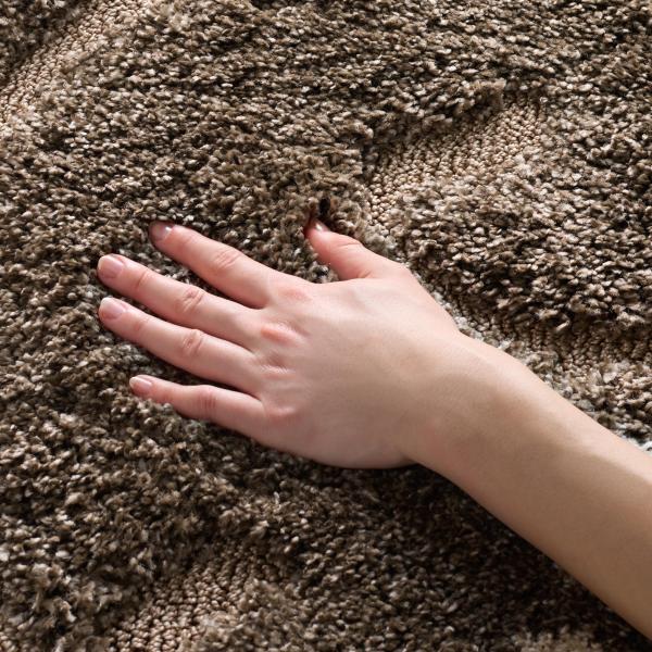 【並行輸入品】 SAFAVIEH Florida Shag Collection Accent Ru...