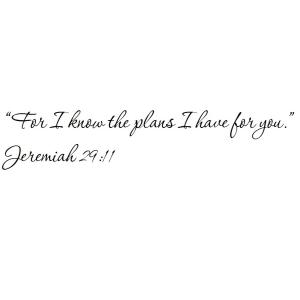 【並行輸入品】Tapestry Of Truth Jeremiah 29:11 Wall and home scripture, let