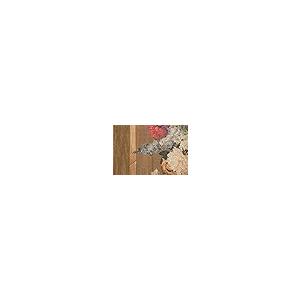 【並行輸入品】 Charlotte Home ...の詳細画像5