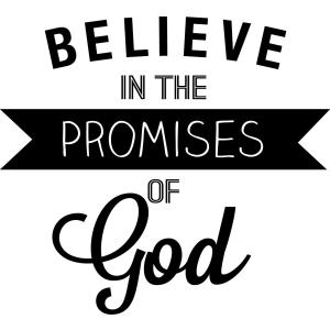 【並行輸入品】 Tapestry Of Truth Believe in The Promises of God (Size: 13.5”