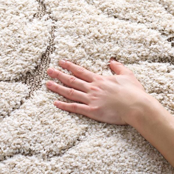 【並行輸入品】Safavieh Florida Shag Collection SG467 1113...