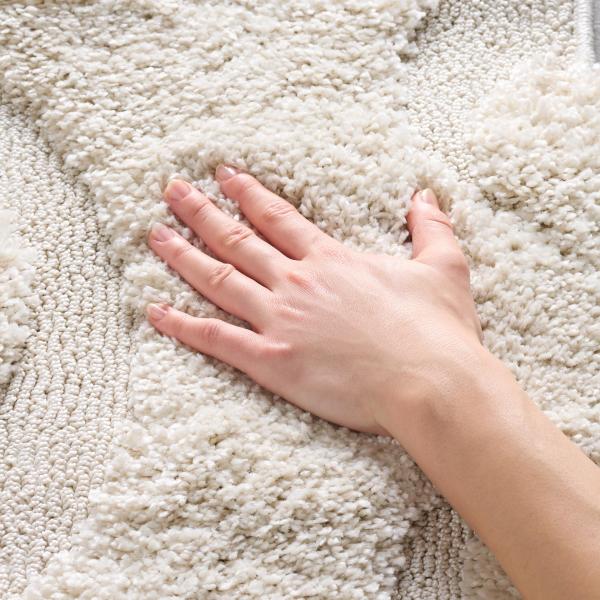 【並行輸入品】Safavieh Florida Shag Collection SG468 1111...