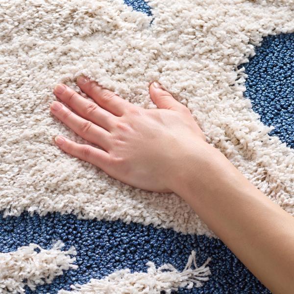 【並行輸入品】 SAFAVIEH Florida Shag Collection Accent Ru...