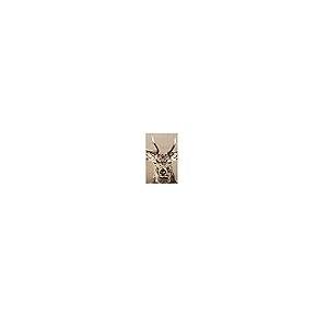 【並行輸入品】 Gobelin Woven E...の詳細画像4