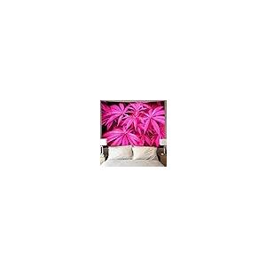 【並行輸入品】 GETTOGET Fantas...の詳細画像2