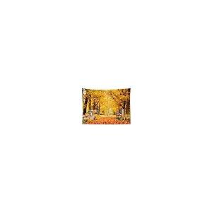 【並行輸入品】 HVEST Fall Tape...の詳細画像2