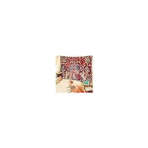 【並行輸入品】FEASRT ヨーロッパ中世王室...の詳細画像5