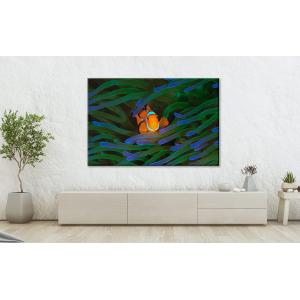 【並行輸入品】 CRYPTONITE Clow...の詳細画像3