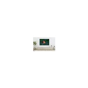 【並行輸入品】 CRYPTONITE Clow...の詳細画像5