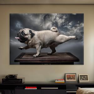 【並行輸入品】 EGD Wall Art Pug Acrylic Home Decor | Modern Interior Design | A