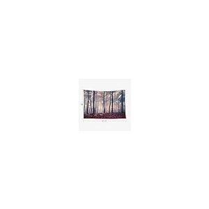 【並行輸入品】EMMTEEYレッドフォレストタ...の詳細画像5