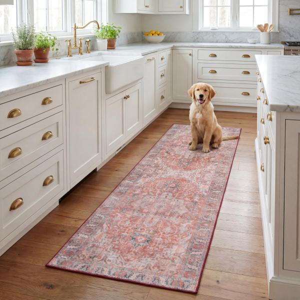 【並行輸入品】 SAFAVIEH Washable Rug Tucson Collection   ...
