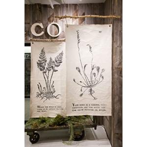 【並行輸入品】 Sugarboo Botani...の詳細画像4