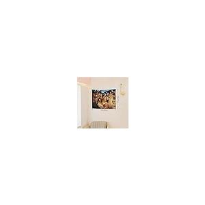 【並行輸入品】 Custom Tapestry...の詳細画像5