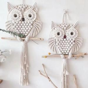 【並行輸入品】 Breezsisan 2 Pcs Owl Macrame Wall Hanging Tapestry Art Decor Han