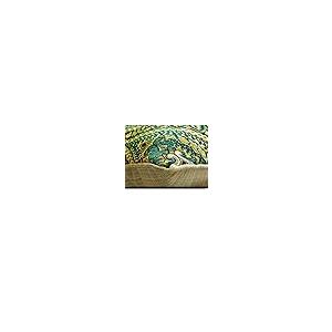 【並行輸入品】The HomeCentric ...の詳細画像5