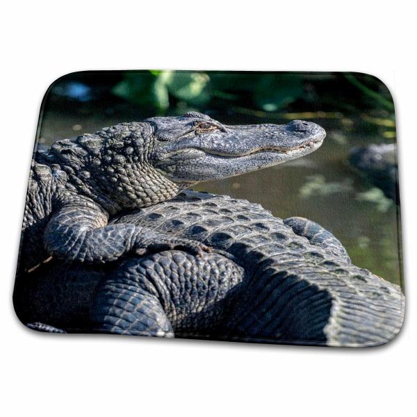 【並行輸入品】 3dRose Bathroom Bath Rug Mat   USA, Florid...