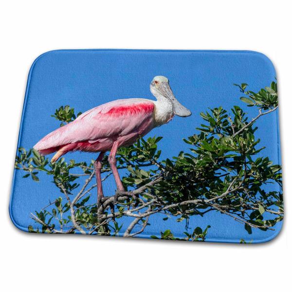 【並行輸入品】 3dRose Bathroom Bath Rug Mat   Roseate Spo...