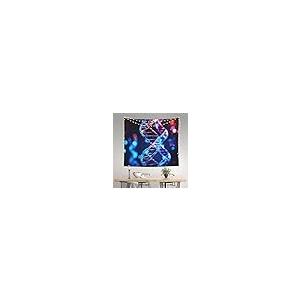 【並行輸入品】 Dwrepo DNA Gene...の詳細画像2
