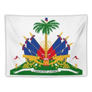 【並行輸入品】 TecEr Haiti Flag Decor Tapestry, National Flag Wall Hanging Tape