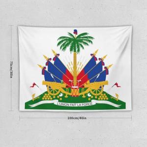 【並行輸入品】 TecEr Haiti Fla...の詳細画像4