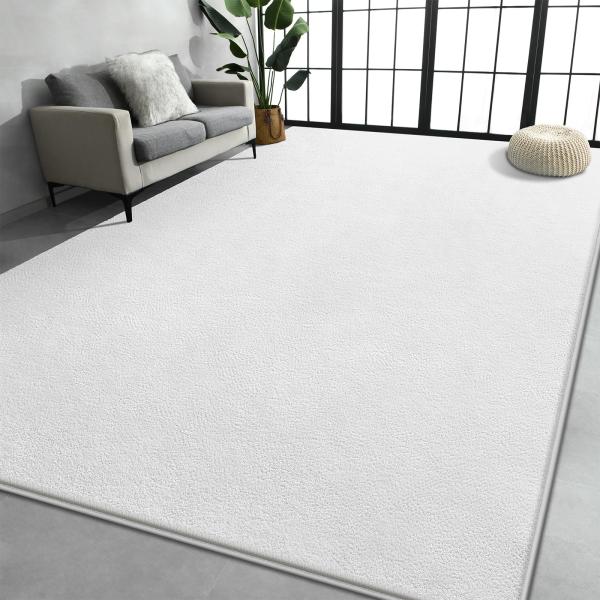 【並行輸入品】 Large Area Rugs for Living Room Bedroom, 4...