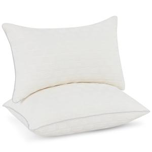 【並行輸入品】Leeden 12x20 枕インサート 2枚セット 硬くてふわふわの腰椎枕インサート、長方形インテリアソファ枕インサート、装飾