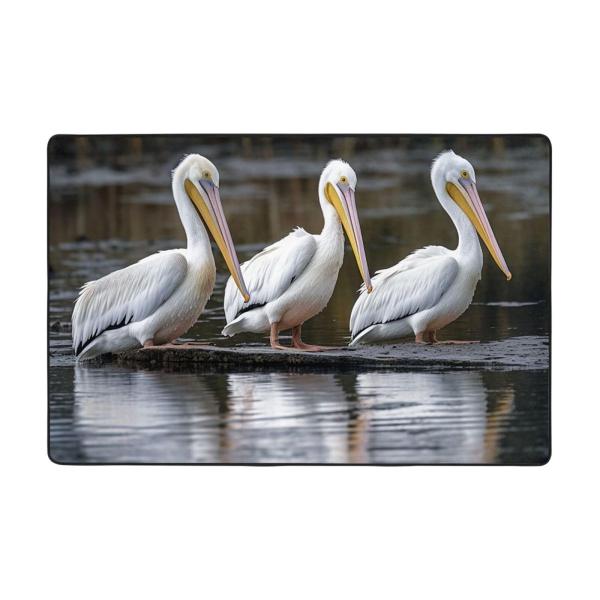 【並行輸入品】 Three Pelicans Modern Area Rug 2x3 Ft, Ult...
