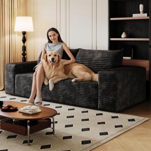 【並行輸入品】 Boneless Cloud Loveseat Couch, No Assembly Required Sofa in a Bo