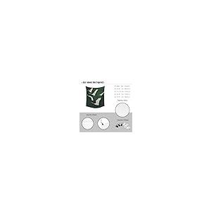【並行輸入品】 Emerald Green C...の詳細画像5