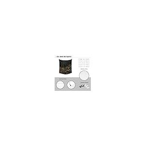 【並行輸入品】 BZWAPQ Dark Aca...の詳細画像5