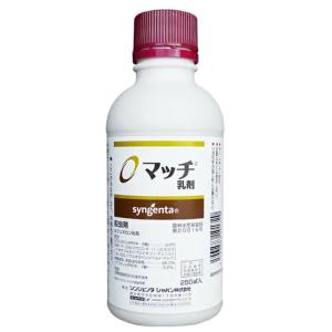 マッチ乳剤　 250ml