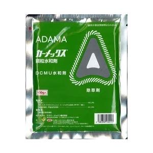 【メール便可】カーメックス顆粒水和剤　１００ｇ