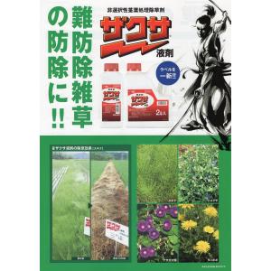 ザクサ液剤 2Lの詳細画像2