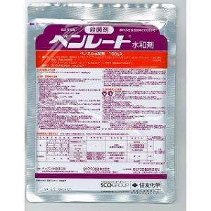 ベンレート水和剤　100g【メール便可】