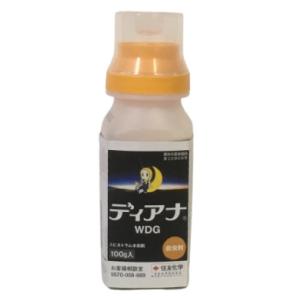 【取寄品】 ディアナWDG 100g