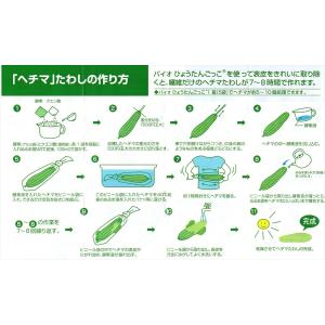バイオひょうたんごっこの詳細画像2