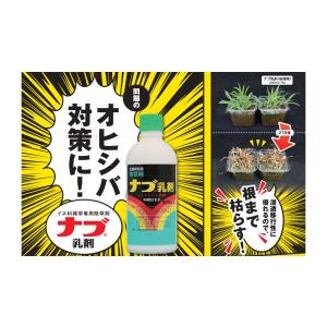 ナブ乳剤 500mlの詳細画像2