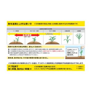 ナブ乳剤 500mlの詳細画像4
