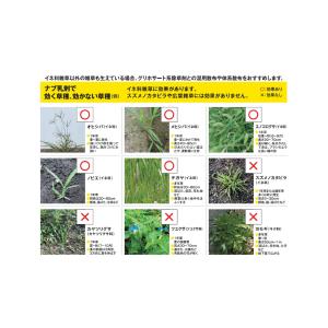 ナブ乳剤 500mlの詳細画像5