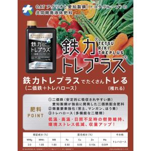 鉄力トレプラス 1Lの詳細画像1