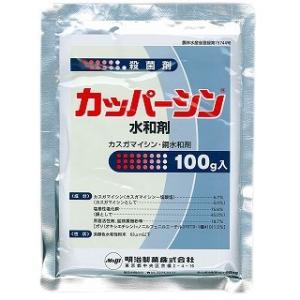 【メール便可】カッパーシン水和剤　100g