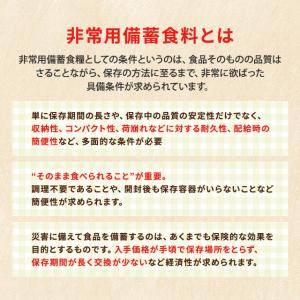 防災食 非常食 10点セット 防災食品セットE...の詳細画像3