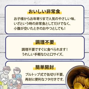 防災食 非常食 13点セット 防災食品セットF...の詳細画像5